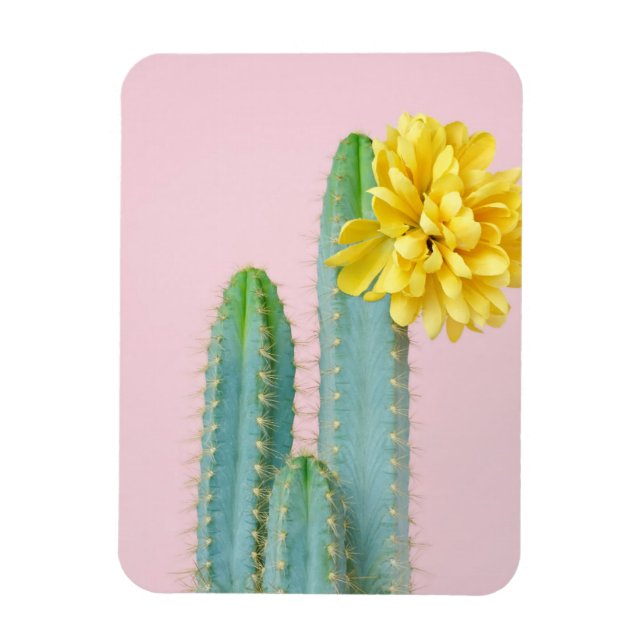 Ímã Trio de Cactus Azul (Vertical)