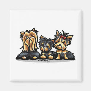 Imã Trio de Yorkie