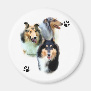 Imã Trio do Collie - ímã