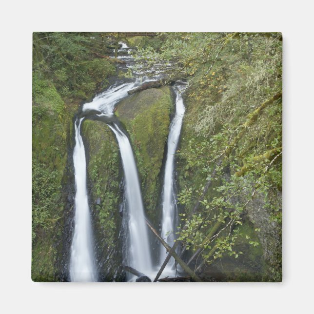 Imã Triple Falls, Desfiladeiro do Rio Columbia (Frente)