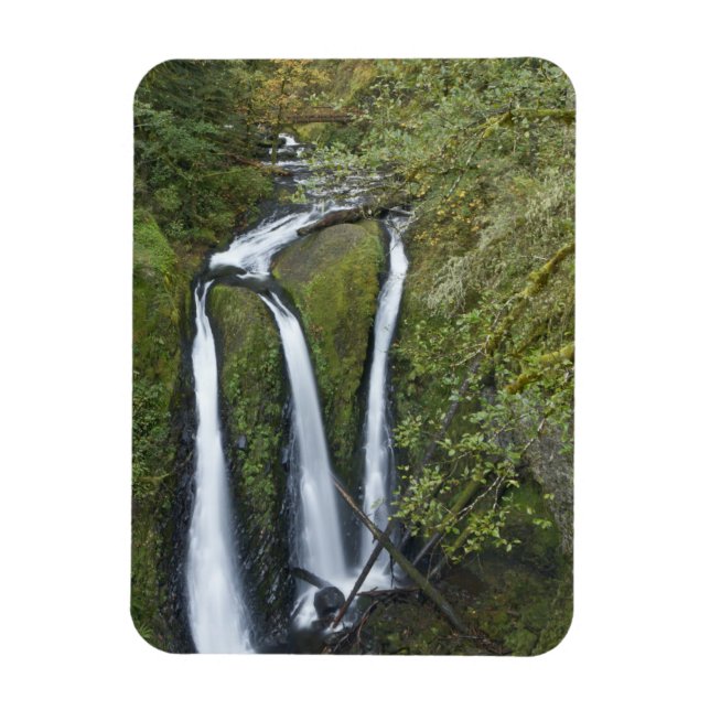 Ímã Triple Falls, Desfiladeiro do Rio Columbia (Vertical)