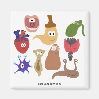 Imã Tripulação Ocupada de Corpus Hollow