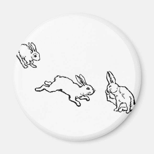 IMÃ TROIS LAPINS (Frente)