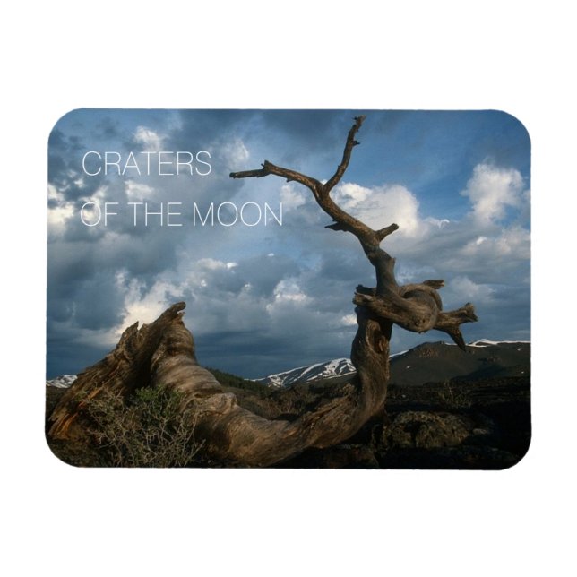 Ímã Tronco de Pinheiros-Limpadores Torcidos, Crateras  (Horizontal)