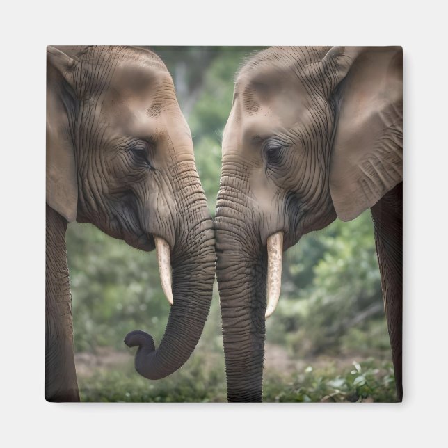 Imã "Tronco para Tronco: Um Gentil Embrace Elefante" (Frente)