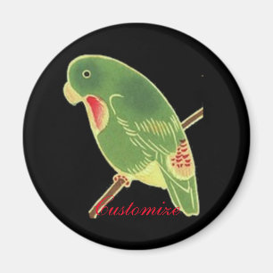 Imã Tropical Green Parakeet Thunder_Cove