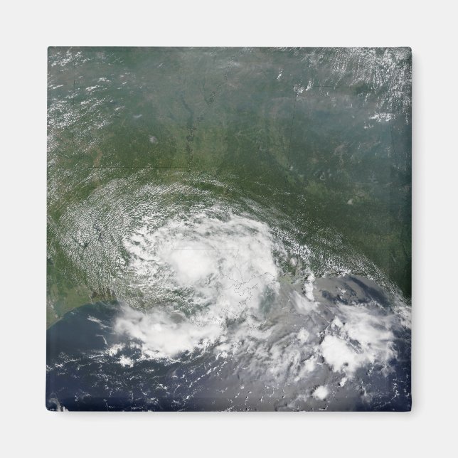 Imã Tropical Storm Bertha (Frente)