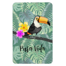 Tropical Toucan Pura Vida Design