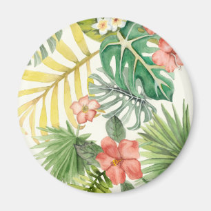 Imã Trópicos suaves