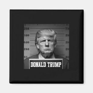 Imã Trump 2024 Mugshot Trump Mug Shot Presidente