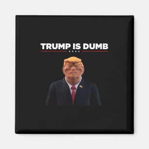 Imã Trump é Idiota – Faça uma Declaração Política