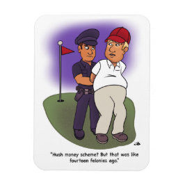 Ímã Trump Felonies Magnet