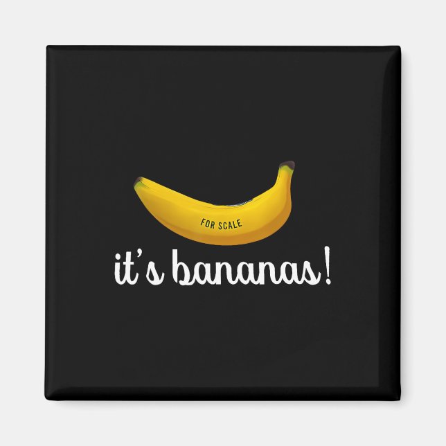Imã Trump It's Banana (for Scale) Engraçado (Frente)