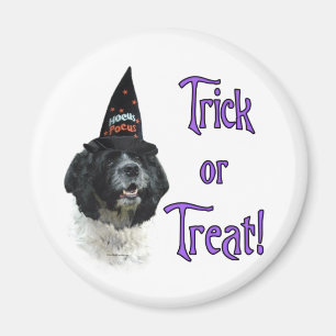 Imã Truque de Cocker Spaniel (Es)