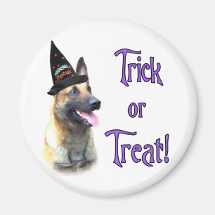 Imã Truque Malinois Belga