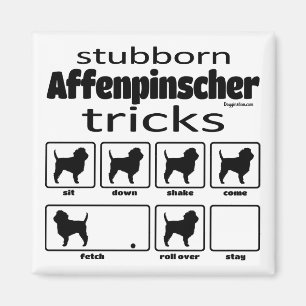 Imã Truques Affenpinscher Stubborn