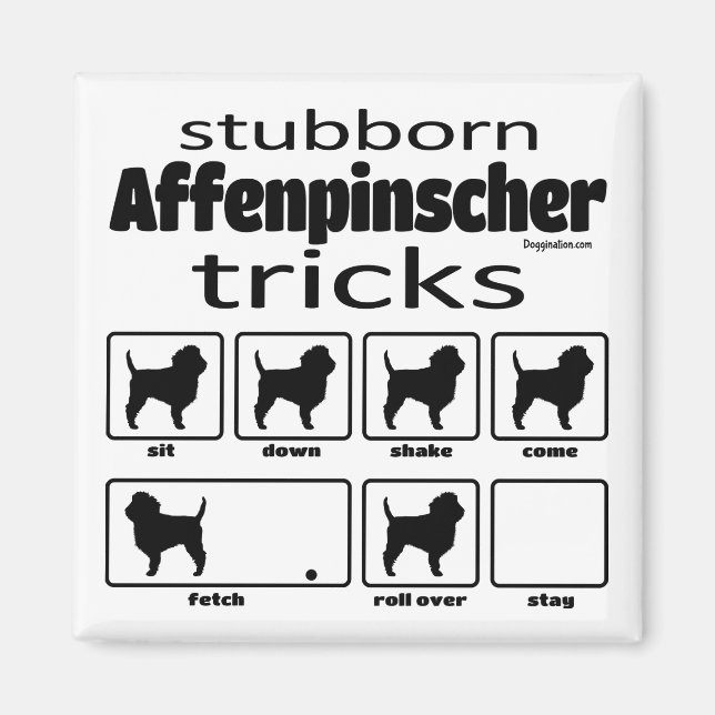 Imã Truques Affenpinscher Stubborn (Frente)