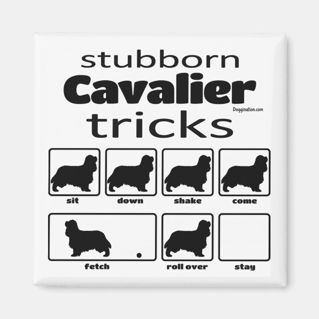 Imã Truques Cavalier Stubborn (Frente)