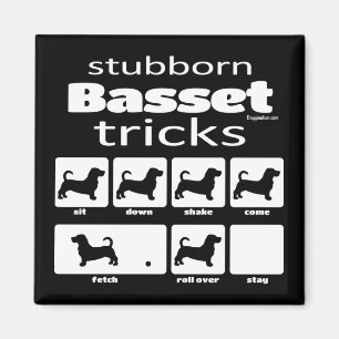 Imã Truques de Basset Stubborn
