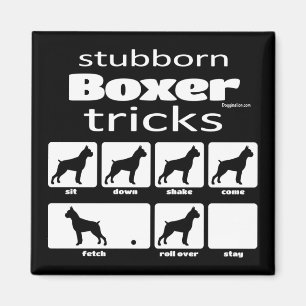 Imã Truques de Boxer Stubborn