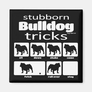 Imã Truques de Bulldog Tetrais