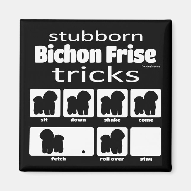 Imã Truques de Frise de Bichon Stubborn (Frente)
