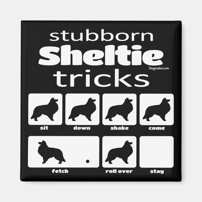 Imã Truques de Sheltie Stubborn (Frente)