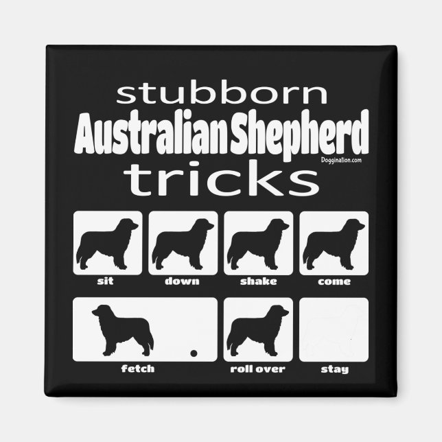 Imã Truques de Shepherd Australianos Stubborn (Frente)