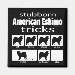 Imã Truques Eskimo Americanos Stubborn