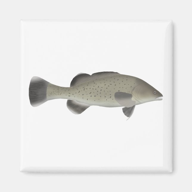 Imã Trut Cod (Frente)
