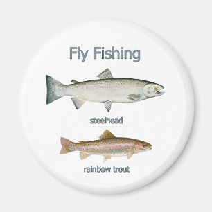 Imã Truta de arco-íris da pesca com mosca - truta