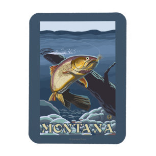 Ímã Truta que pesca o secção transversal - Montana