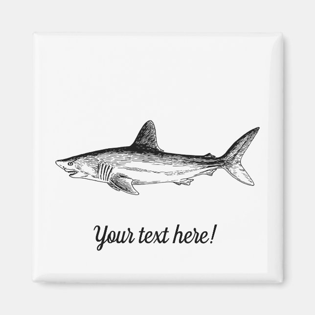 Imã Tubarão (Frente)