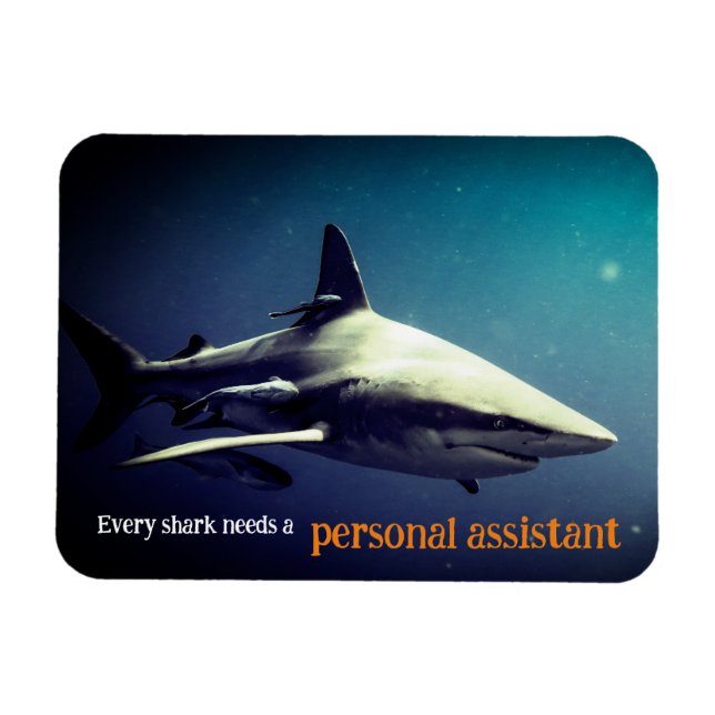 Ímã Tubarão-preto oceânico submarino (Horizontal)