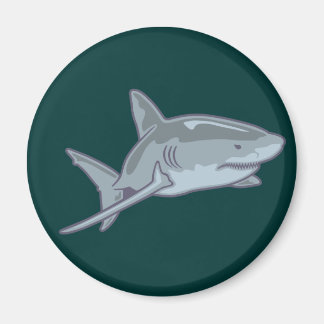 Imã Tubarão shark