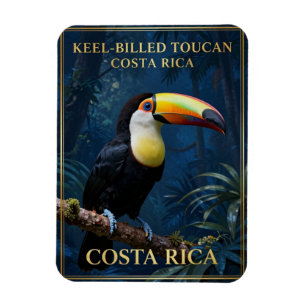 Ímã Tucano-bico-de-quilha Vida Selvagem da Costa Rica