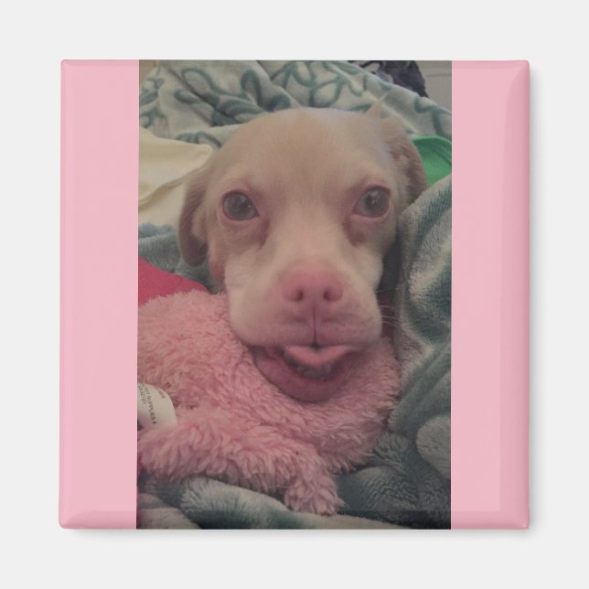 Imã Tucker Veste óculos com destaque cor-de-rosa (Frente)