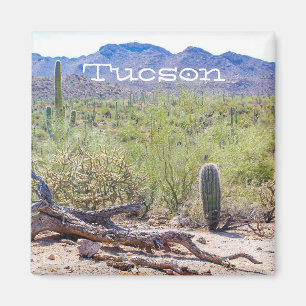 Imã Tucson Arizona