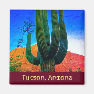 Imã Tucson, Magneta do Cactus no Deserto da Arizona