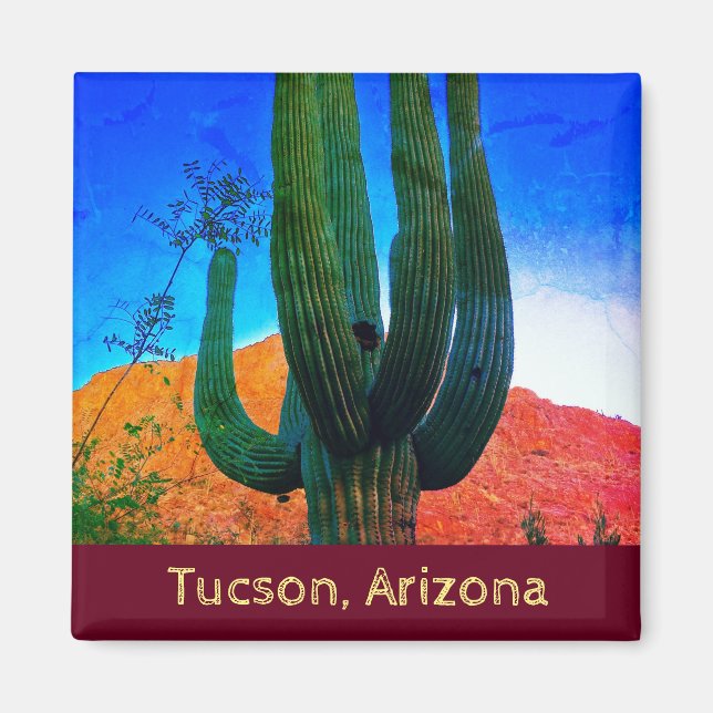 Imã Tucson, Magneta do Cactus no Deserto da Arizona (Frente)