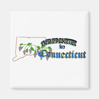 Imã Tudo é melhor no Connecticut Magnet