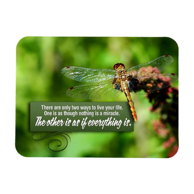 Ímã "Tudo é um milagre" Flex de citação inspiracional (Horizontal)