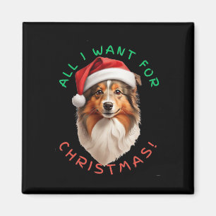 Imã Tudo O Que Quero Para O Natal! Shetland Sheepdog D