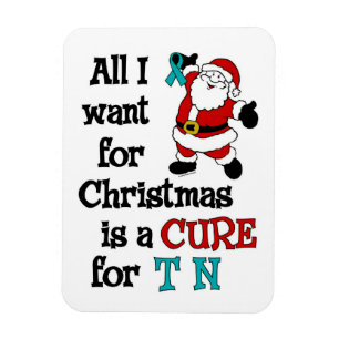 Ímã Tudo O Que Quero Para O Natal... TN