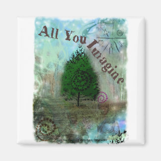 Imã Tudo que você imagina