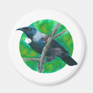 Imã Tui da Nova Zelândia - Pintura em acrílico