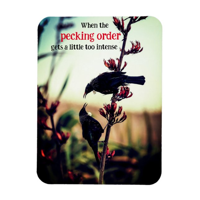 Ímã Tui pássaros lutando com linho (Vertical)