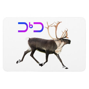 Ímã Tuktu - Cariou