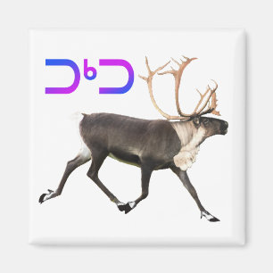 Imã Tuktu - Cariou
