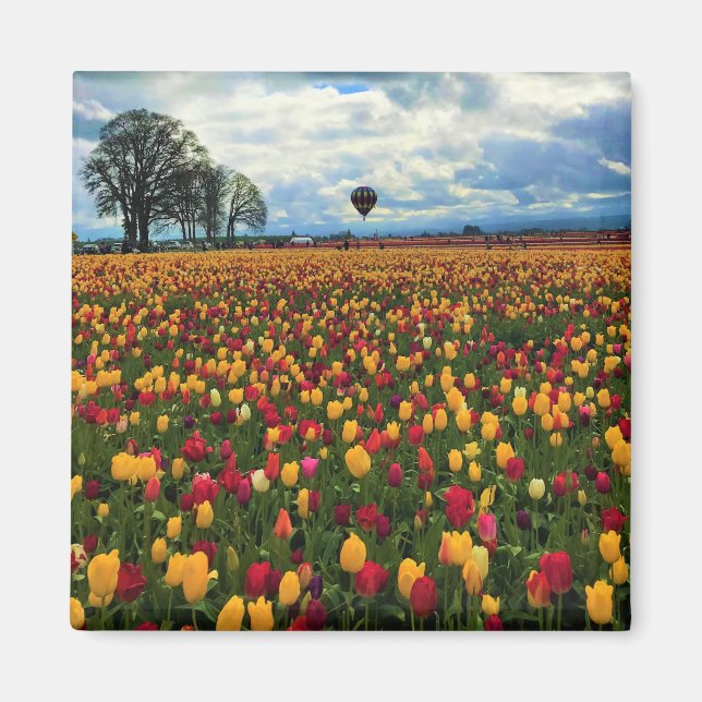 Imã Tulip Fazenda em Oregon (Frente)